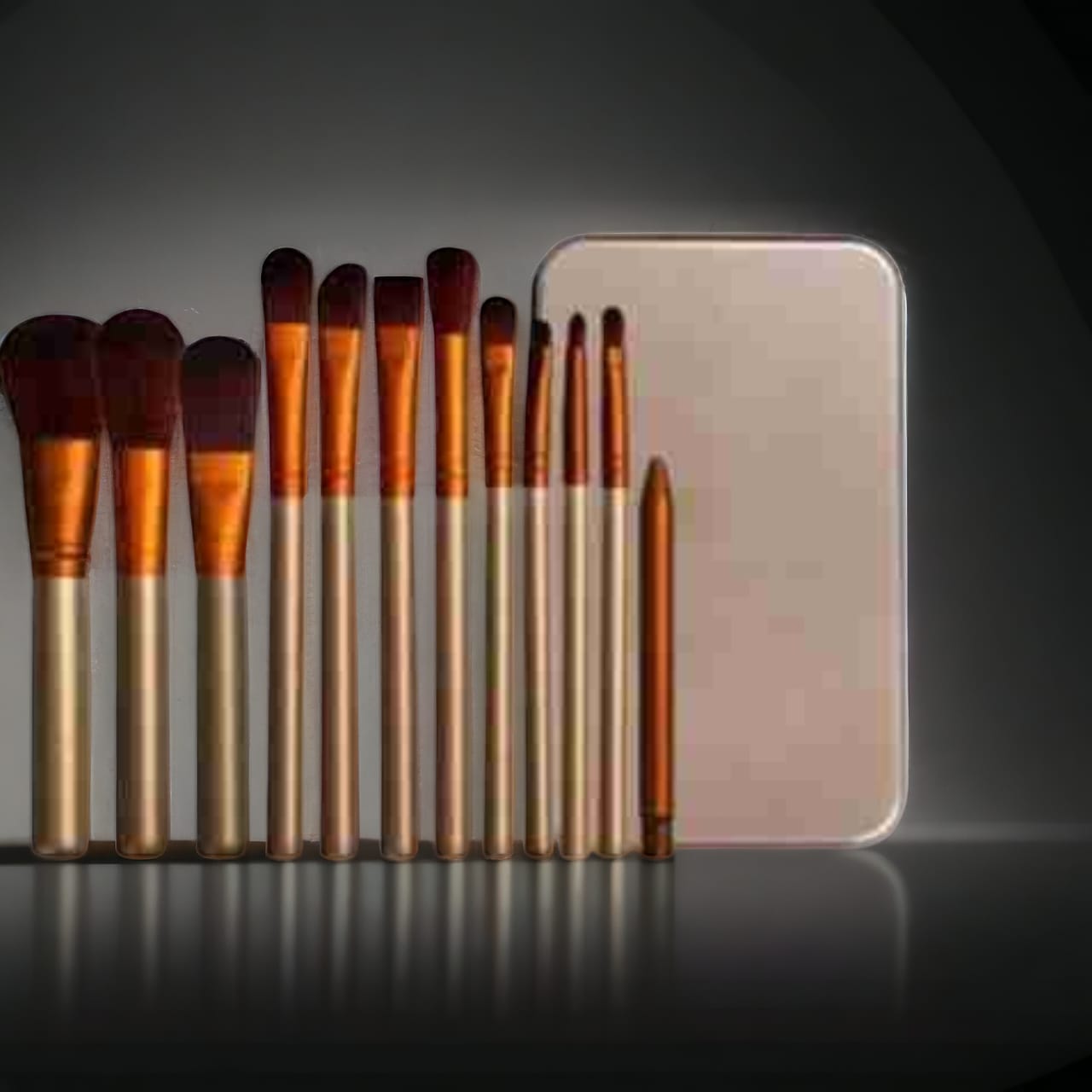 Naked 12 Brushes Box Set